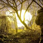 Інтенсивність боїв збільшилась. Генштаб повідомив про більше 200 зіткнень на фронті за добу