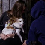 У Києві вдруге за ніч оголошено повітряну тривогу через загрозу ударних дронів